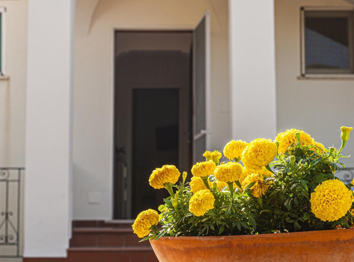 Villa Casaale à Anacapri  Extérieur photo
