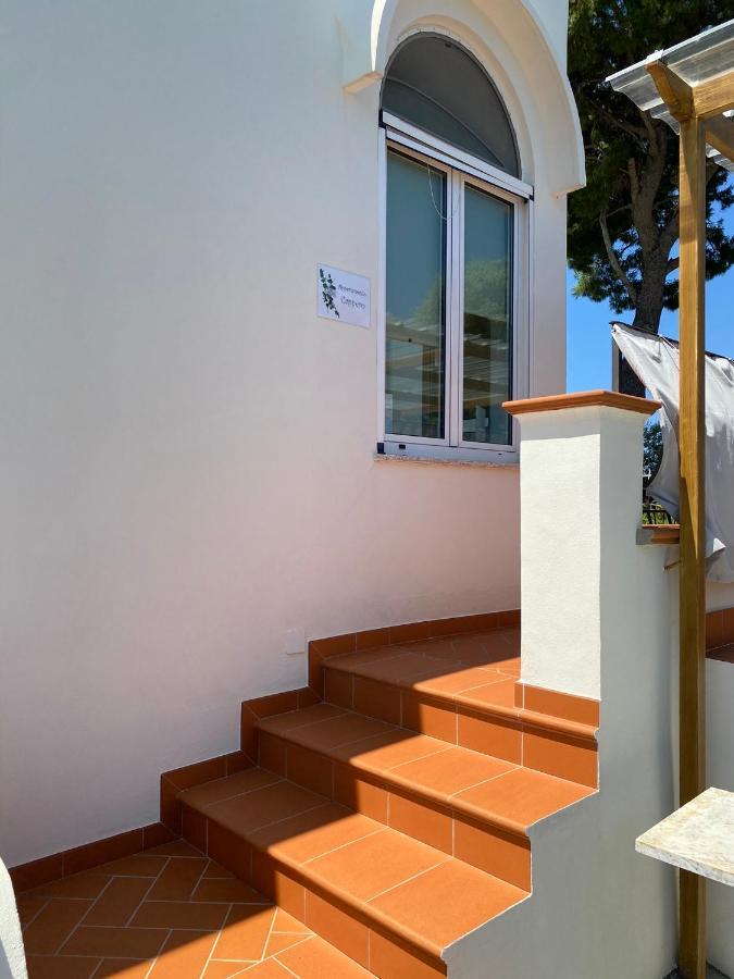 Villa Casaale à Anacapri  Extérieur photo